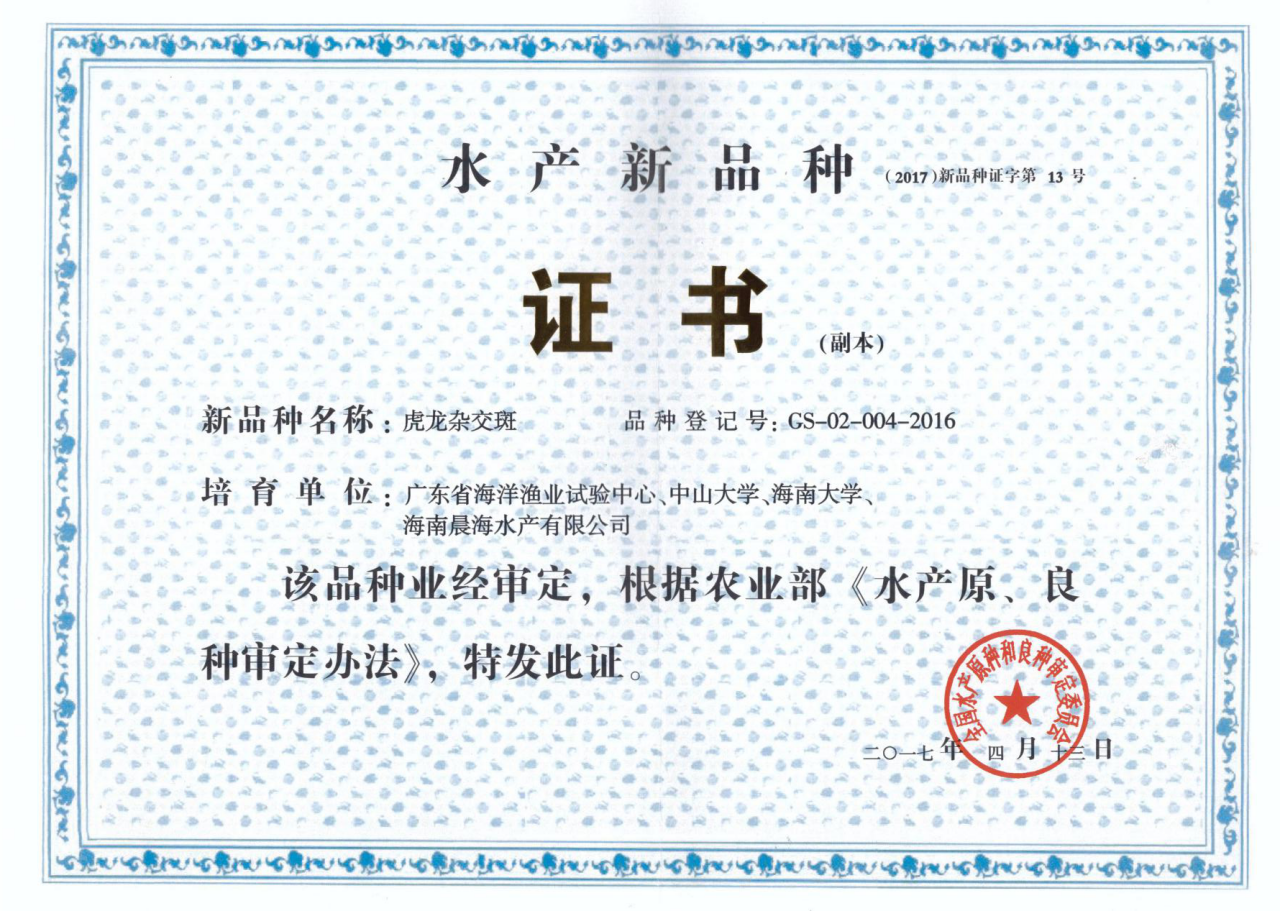 厲害了，我的“虎龍雜交斑”