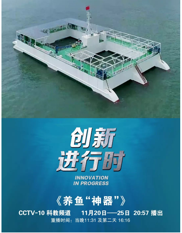 風(fēng)再猛、浪再大，都攔不住我養(yǎng)魚的雄心！